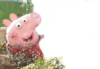 Efekt zdjęciowy z kategorii Różne dziecięce № 101439