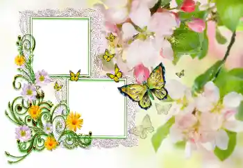 Napis na ramce: Gratulacje!