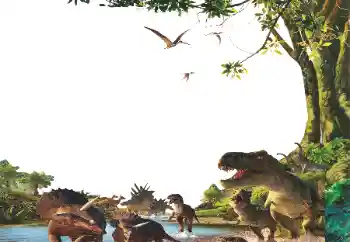 Efekt zdjęciowy z kategorii Różne dziecięce № 153254