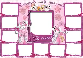 Napis na ramce: 2 roku Napis na ramce: 2 roku