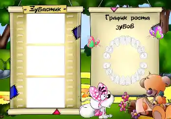 Napis na ramce: Schedule of teething Napis na ramce: Schedule of teething