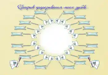 Napis na ramce: Schedule of teething Napis na ramce: Schedule of teething