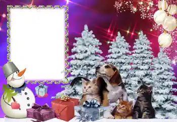 Efekt zdjęciowy z kategorii Święta dziecięce № 178291