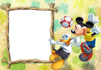 Efekt zdjęciowy z kategorii Chcę wszystko wiedzieć i umieć № 26630