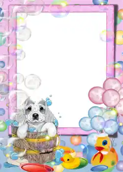 Efekt zdjęciowy z kategorii Kąpiel, jedzenie, spanie № 1187