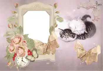 Efekt zdjęciowy z kategorii Kąpiel, jedzenie, spanie № 153184 Efekt zdjęciowy z kategorii Kąpiel, jedzenie, spanie № 153184