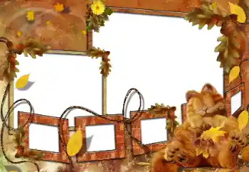 Efekt zdjęciowy z kategorii Kąpiel, jedzenie, spanie № 160682 Efekt zdjęciowy z kategorii Kąpiel, jedzenie, spanie № 160682