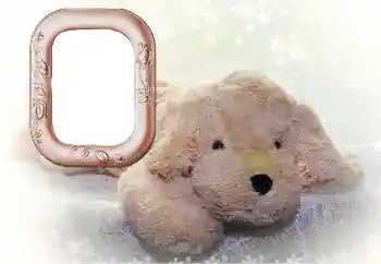 Efekt zdjęciowy z kategorii Moje zabawki i pupile № 169102