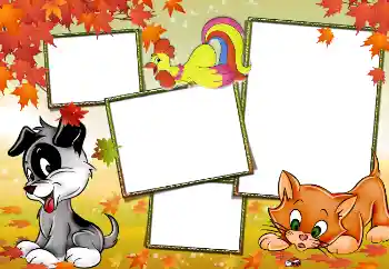 Efekt zdjęciowy z kategorii Moje zabawki i pupile № 3929