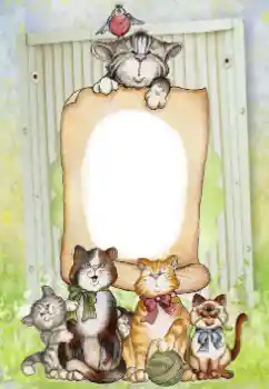 Efekt zdjęciowy z kategorii Moje zabawki i pupile № 65522 Efekt zdjęciowy z kategorii Moje zabawki i pupile № 65522