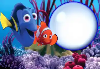 Efekt zdjęciowy z kategorii Na morzem № 67351 Efekt zdjęciowy z kategorii Na morzem № 67351