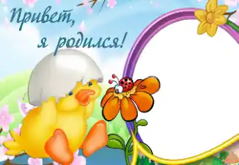 Efekt zdjęciowy z kategorii Pierwszy rok № 13982. Napis na ramce: Urodziłem się Efekt zdjęciowy z kategorii Pierwszy rok № 13982. Napis na ramce: Urodziłem się