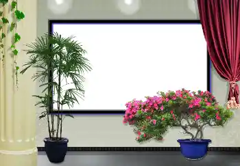 Efekt zdjęciowy z kategorii Billboardy, ściany, plakaty № 3434