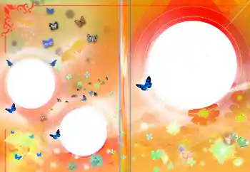 Efekt zdjęciowy z kategorii Okładki DVD № 145141