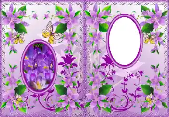 Efekt zdjęciowy z kategorii Okładki DVD № 183322