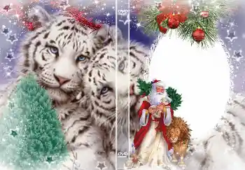 Napis na ramce: Sylwester