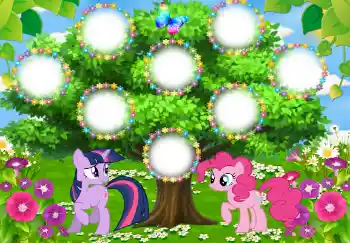 Efekt zdjęciowy z kategorii Drzewo Rodzinne № 130987