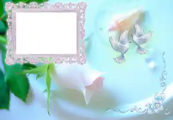 Napis na ramce: Zaproszenie na ślub Napis na ramce: Zaproszenie na ślub