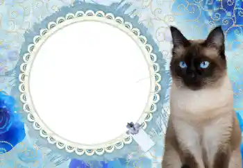 Napis na ramce: 2026