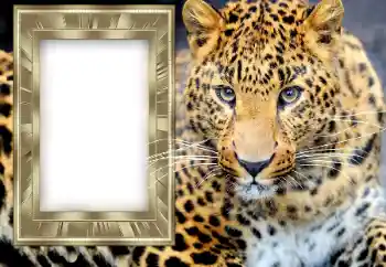 Napis na ramce: 2026 Napis na ramce: 2026