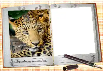 Napis na ramce: 2026 Napis na ramce: 2026