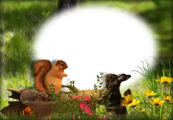 Napis na ramce: 2026