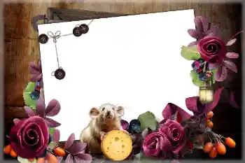 Napis na ramce: 2026