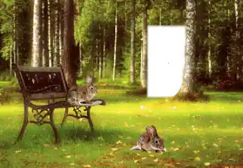 Napis na ramce: 2026