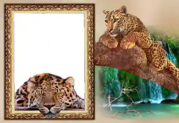 Napis na ramce: 2026 Napis na ramce: 2026