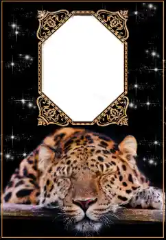 Napis na ramce: 2026 Napis na ramce: 2026