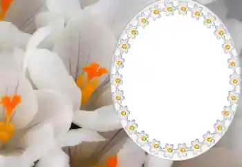 Napis na ramce: 2026 Napis na ramce: 2026