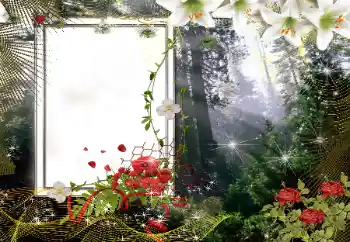 Napis na ramce: 2026 Napis na ramce: 2026