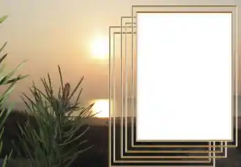 Napis na ramce: 2026 Napis na ramce: 2026