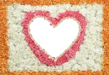 Napis na ramce: 2026 Napis na ramce: 2026