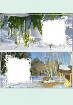 Efekt zdjęciowy z kategorii Stołowe № 4524