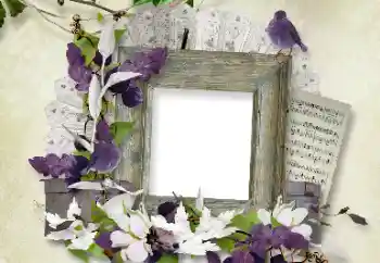 Efekt zdjęciowy z kategorii Różne № 100112 Efekt zdjęciowy z kategorii Różne № 100112