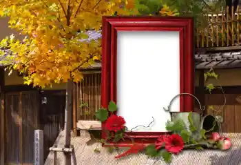 Efekt zdjęciowy z kategorii Różne № 100114 Efekt zdjęciowy z kategorii Różne № 100114