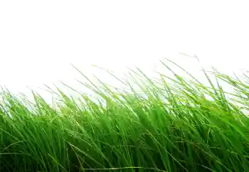 Efekt zdjęciowy z kategorii Różne № 101116 Efekt zdjęciowy z kategorii Różne № 101116