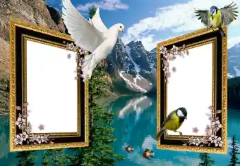 Efekt zdjęciowy z kategorii Różne № 101225