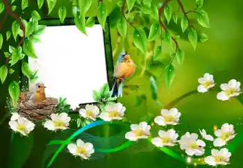 Efekt zdjęciowy z kategorii Różne № 101227