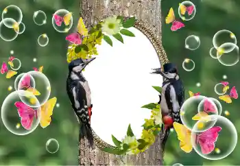 Efekt zdjęciowy z kategorii Różne № 101320 Efekt zdjęciowy z kategorii Różne № 101320