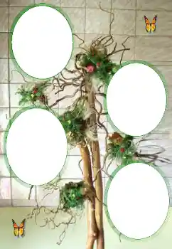 Efekt zdjęciowy z kategorii Różne № 101323 Efekt zdjęciowy z kategorii Różne № 101323