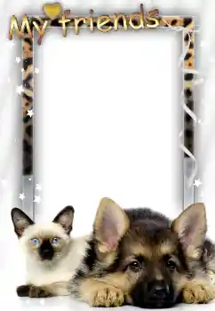 Napis na ramce: Moi przyjaciele