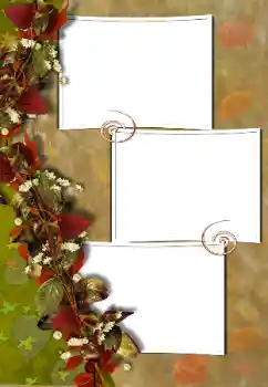 Efekt zdjęciowy z kategorii Różne № 103882