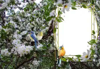 Efekt zdjęciowy z kategorii Różne № 104101