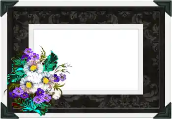 Efekt zdjęciowy z kategorii Różne № 104106