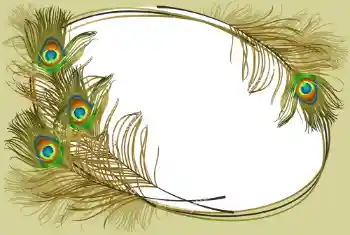 Efekt zdjęciowy z kategorii Różne № 105263