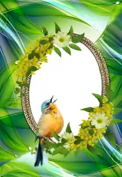 Efekt zdjęciowy z kategorii Różne № 105576