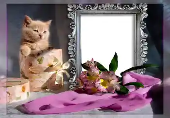 Efekt zdjęciowy z kategorii Różne № 10835