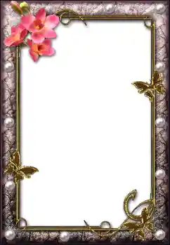 Efekt zdjęciowy z kategorii Różne № 112004